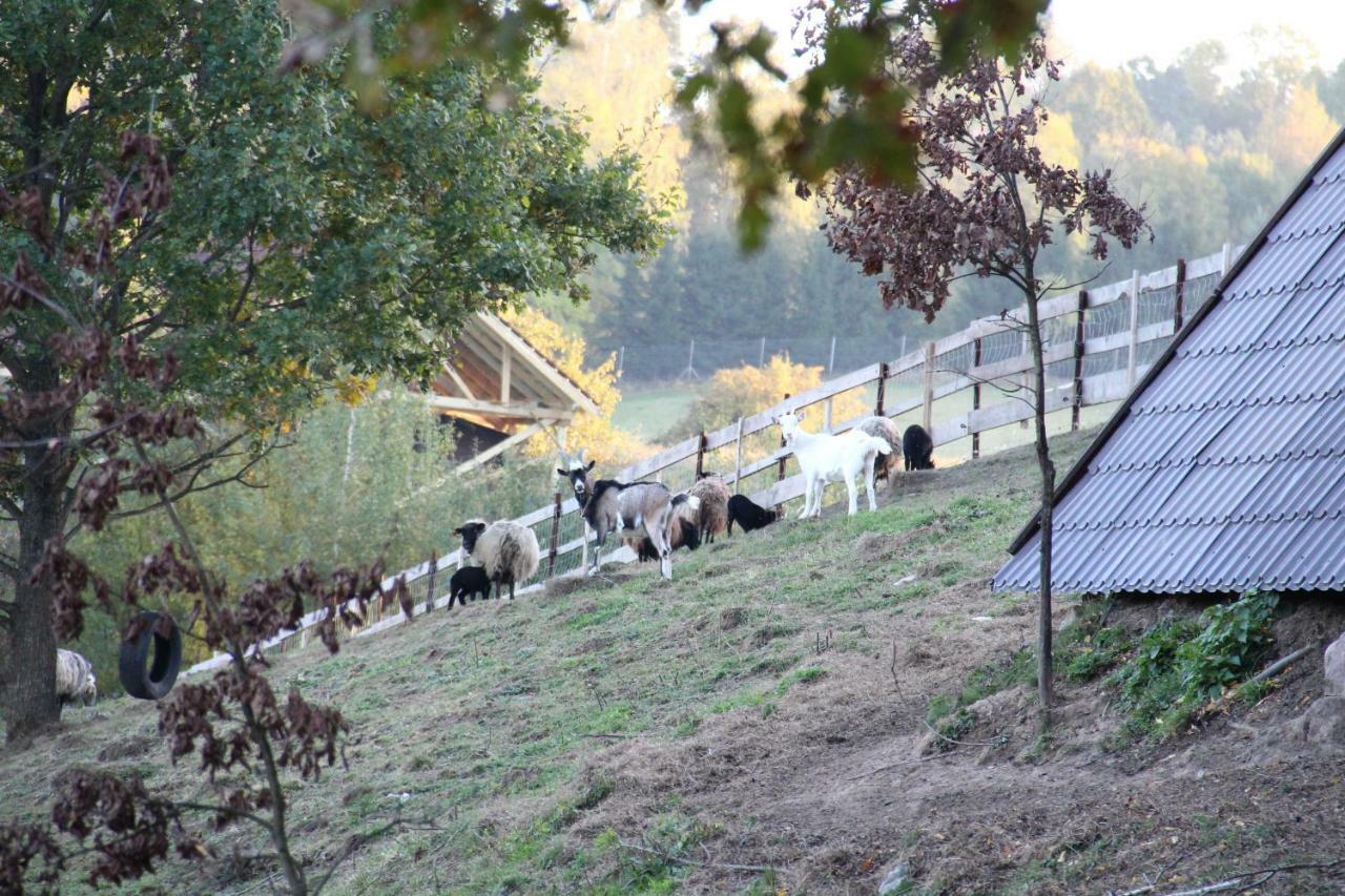 Siedlisko Gizewo Βίλα Εξωτερικό φωτογραφία